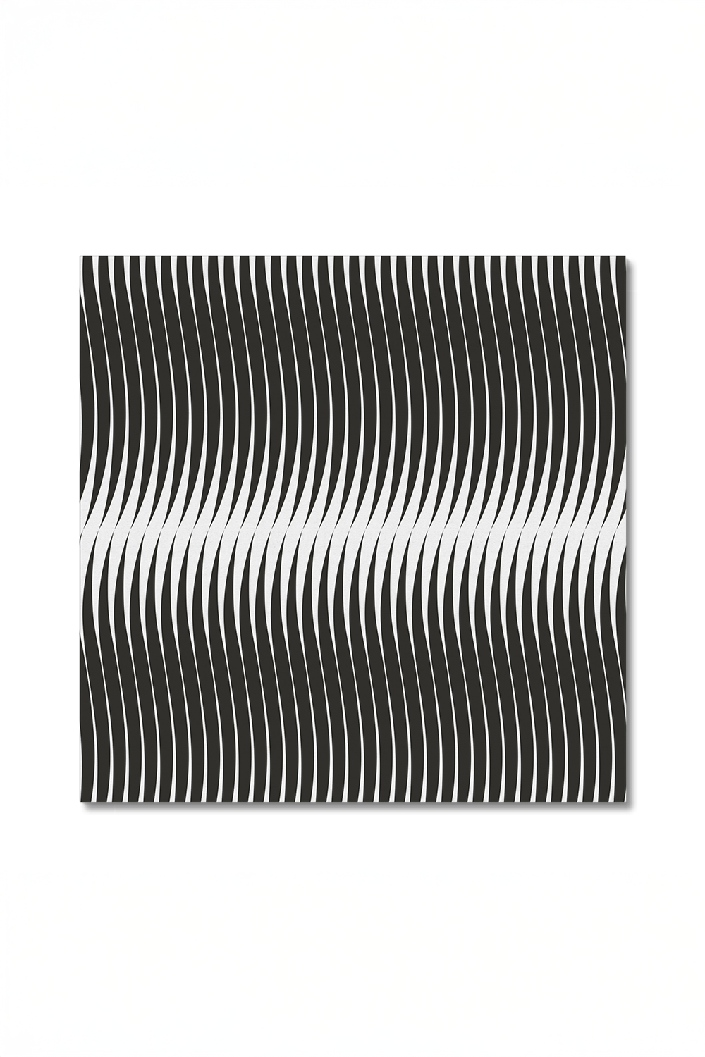 Gills Line Art Black & White Canvas Wall Art