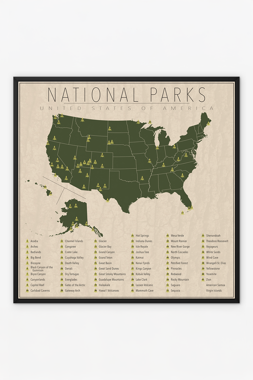 US National Park Map Framed Canvas Wall Art