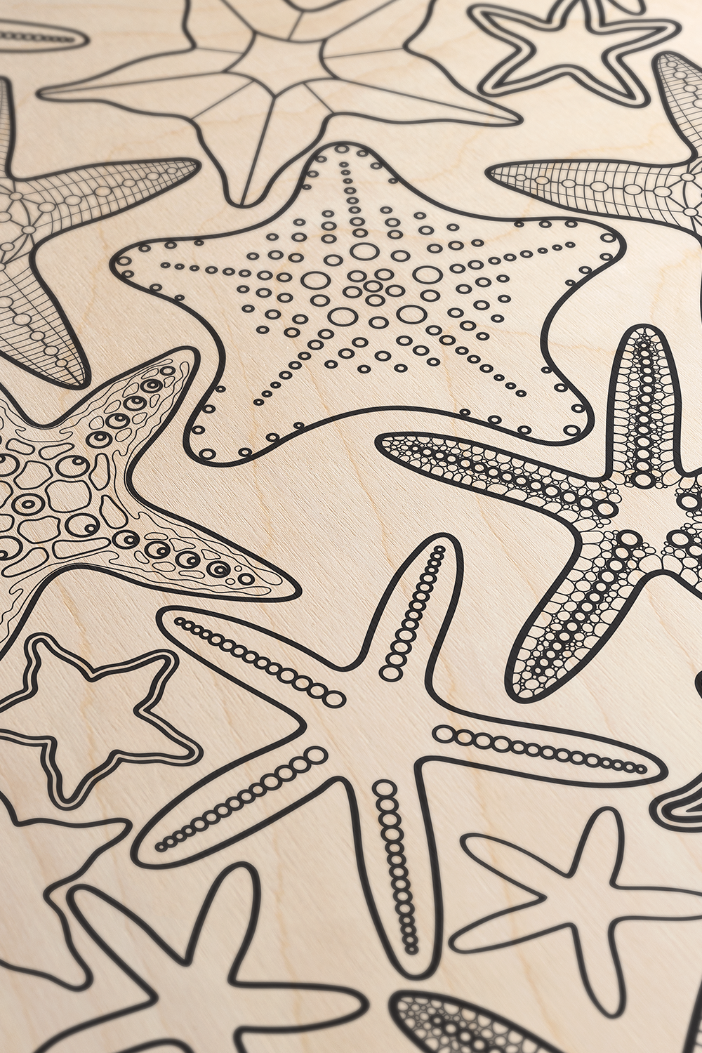 Starfish Line Art Black & White Wood Wall Art