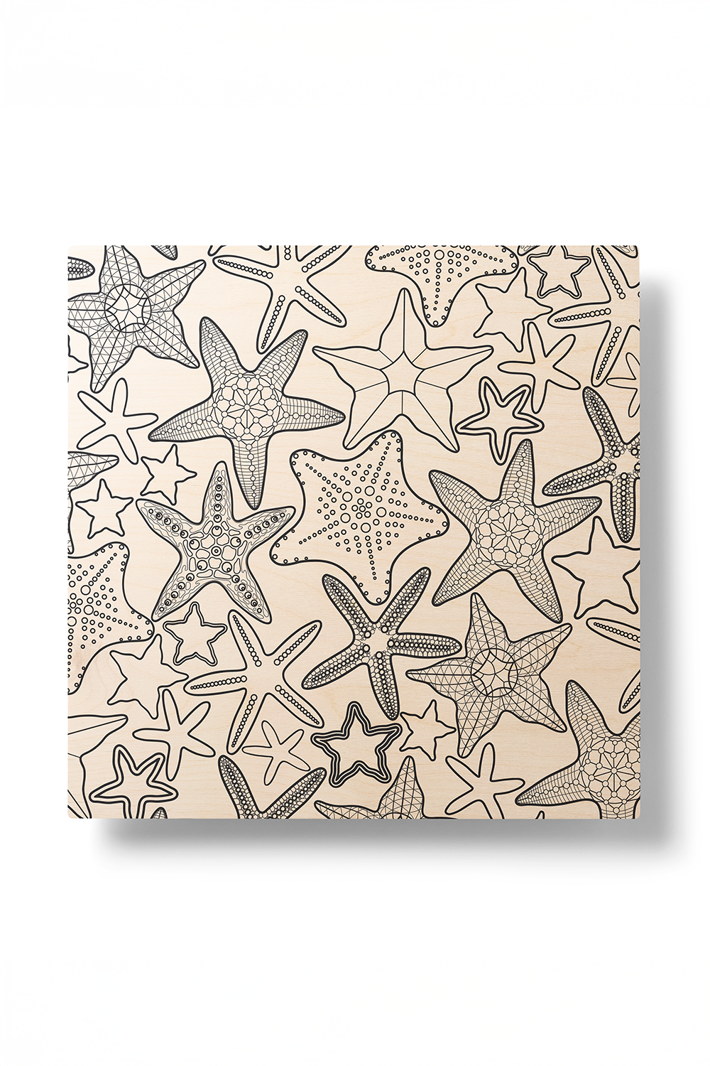 Starfish Line Art Black & White Wood Wall Art