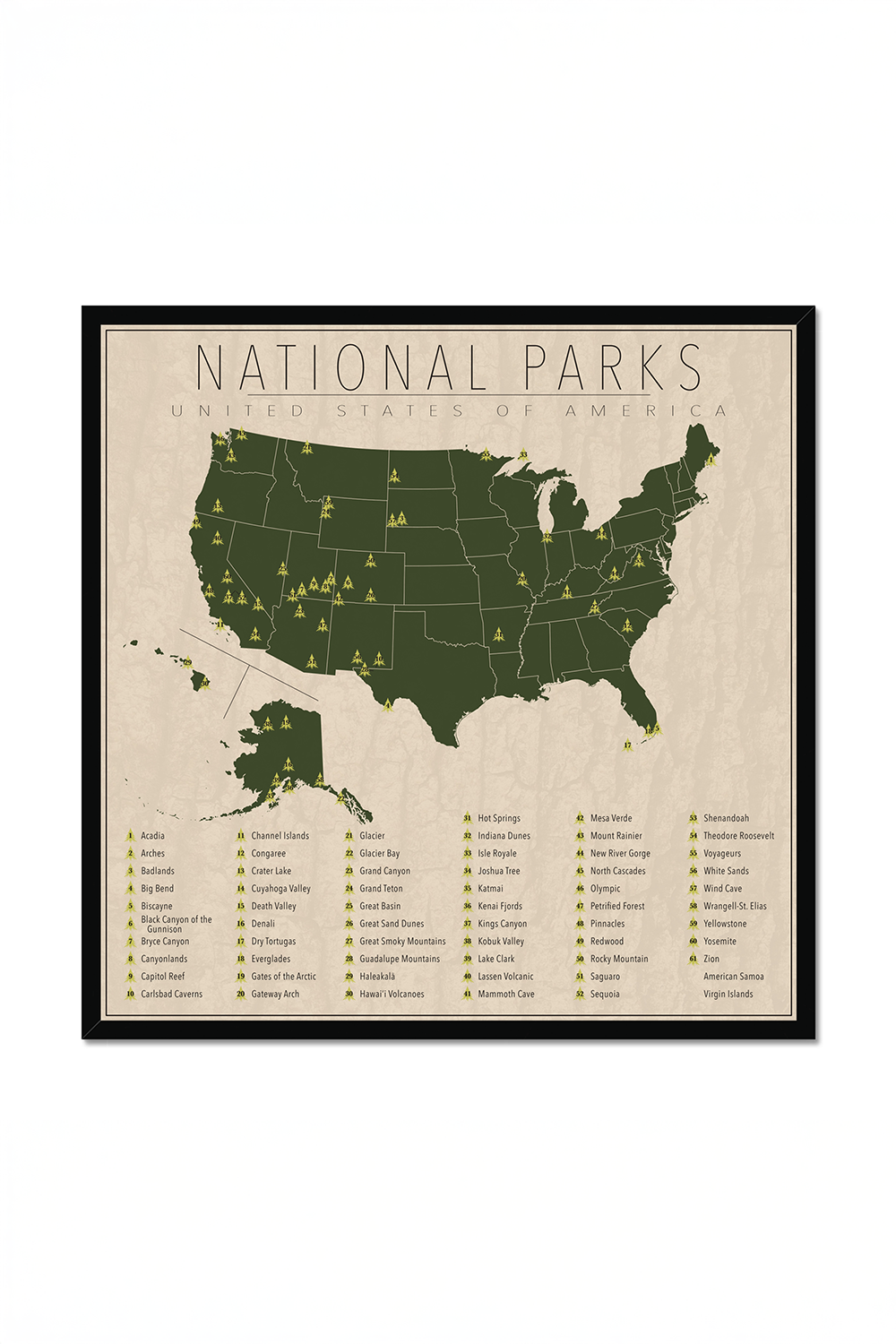 US National Park Map Framed Canvas Wall Art