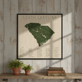Framed map of South Carolina state and national state parks on a wooden wall with plants and books below.