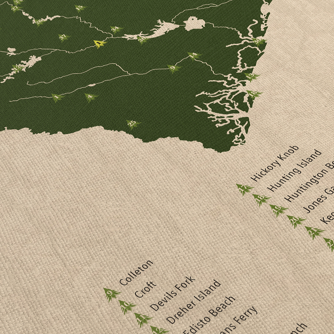 South Carolina State & National Parks Map Framed Canvas Wall Art