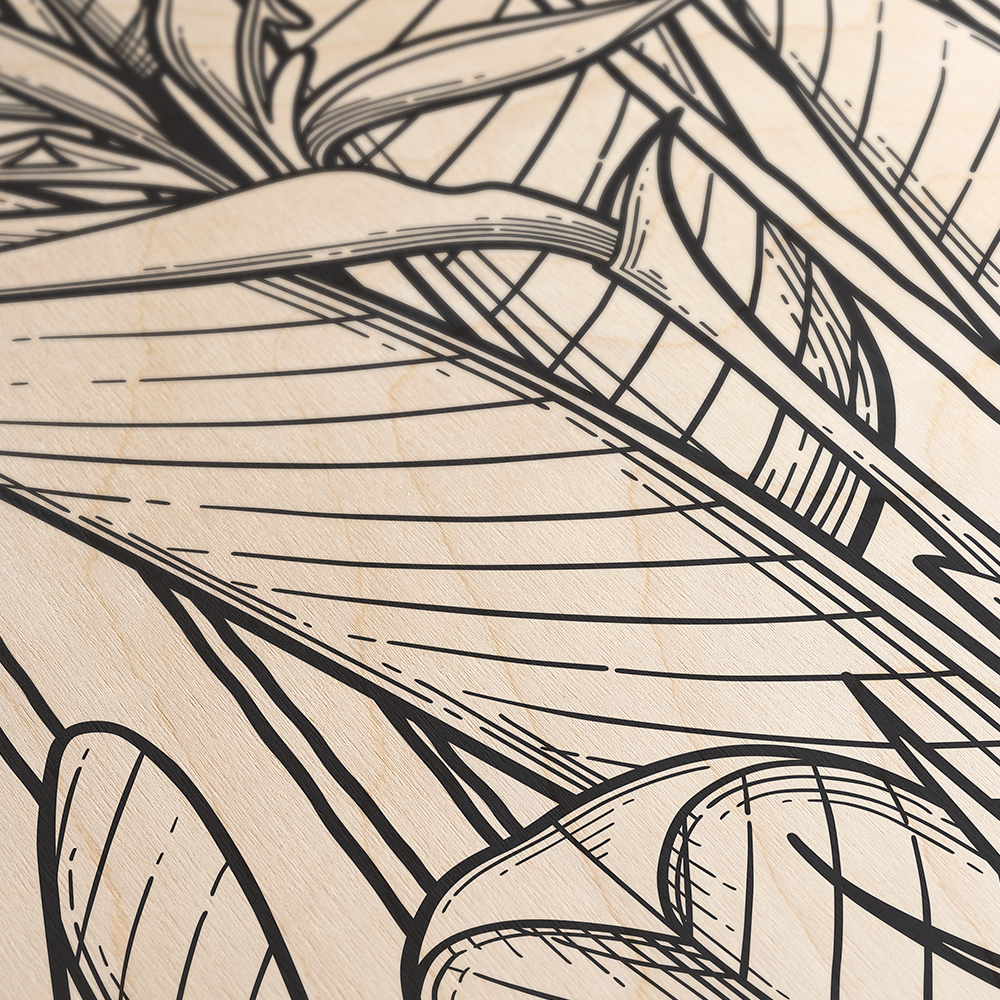 Tropical Bird of Paradise Line Art Black & White Wood Wall Art