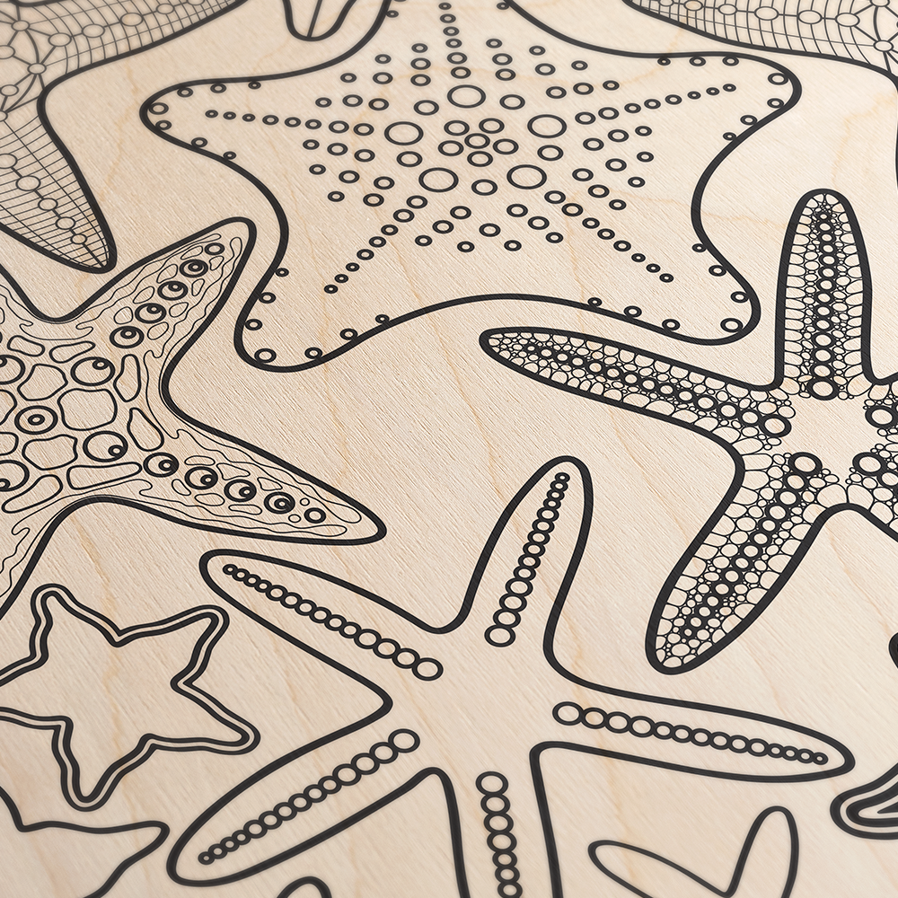 Starfish Line Art Black & White Wood Wall Art