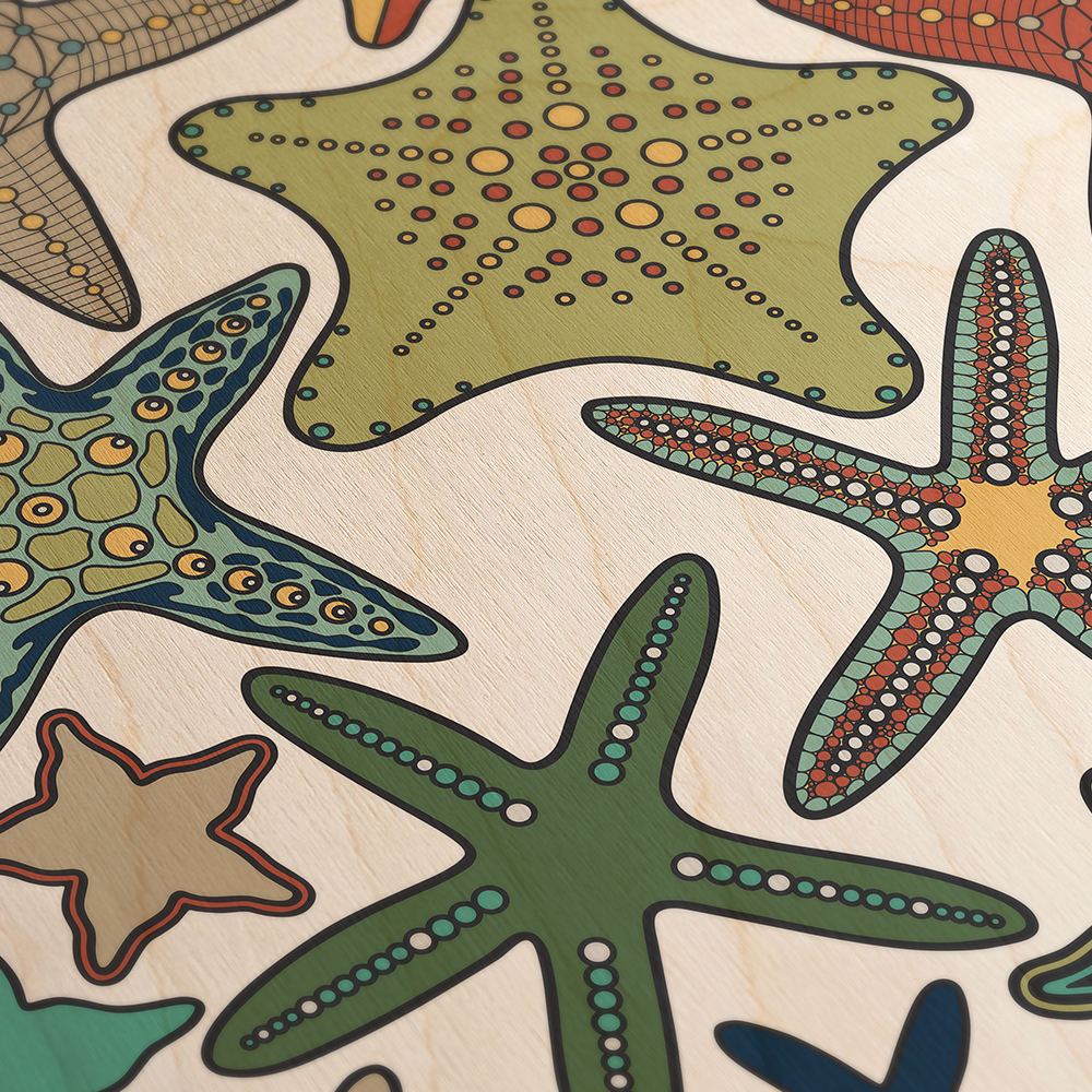Starfish Line Art Multicolor Wood Wall Art